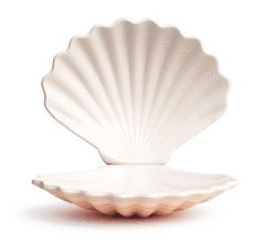 Shell image